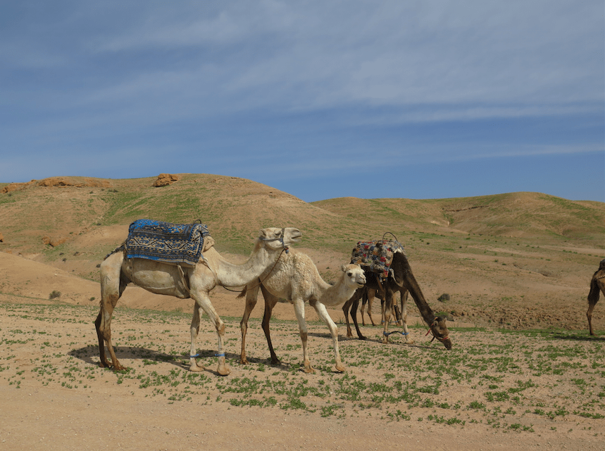 slika-zaslona-2017-02-10-u-21-34-48