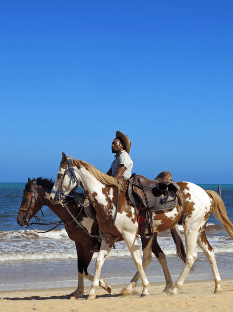 39776089-20F5-4668-9822-A9B7FA61AC09