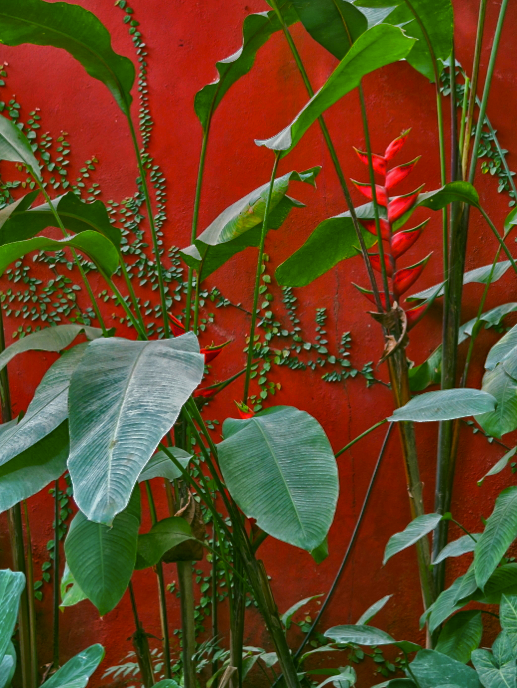 4031D287-9D98-4AD8-90FC-CE464EE6F368