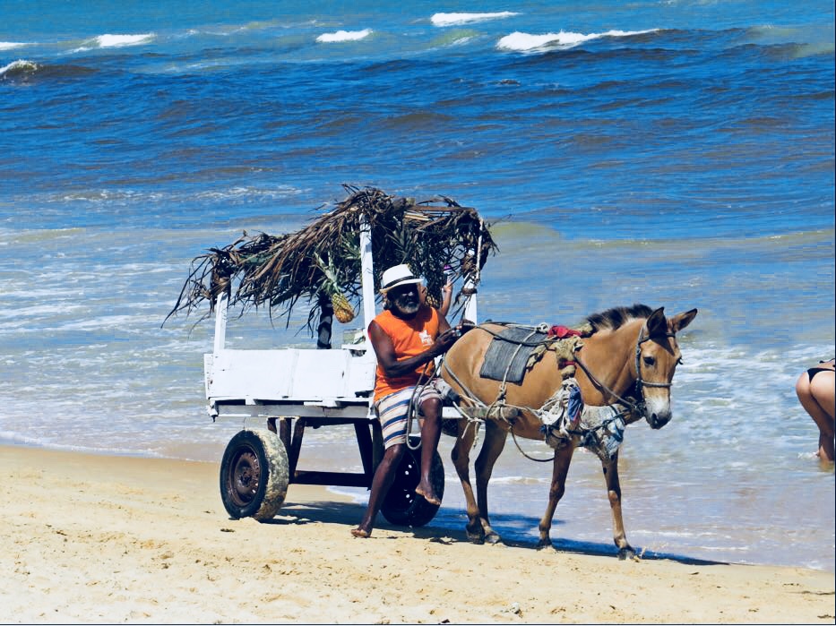 46768F88-84CD-43AB-8453-A946CAD7BF7A