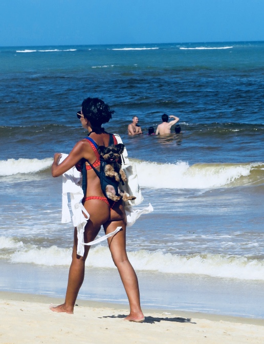 4B3897B4-68E9-4DE7-96AE-B9C6C9AB1CEB