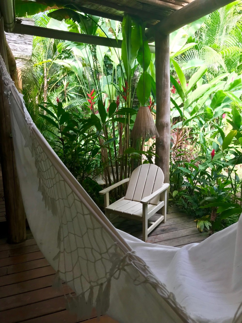 4D5E0C89-6DC7-46E2-B6F6-03639C81B2F4