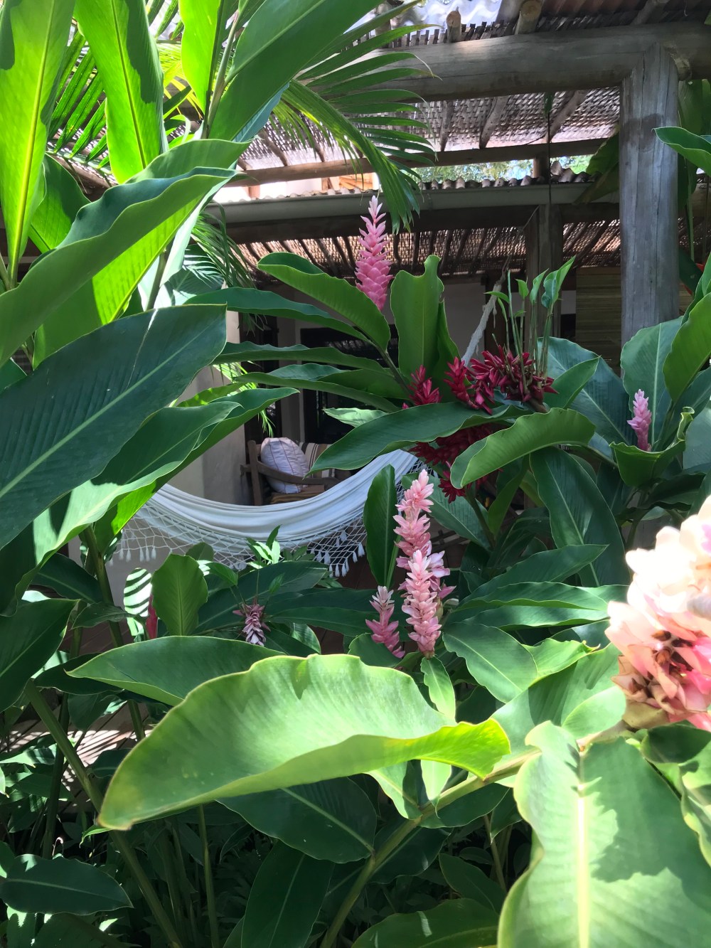 66A12608-8B07-4DF6-9CFB-F373A43DF6B7