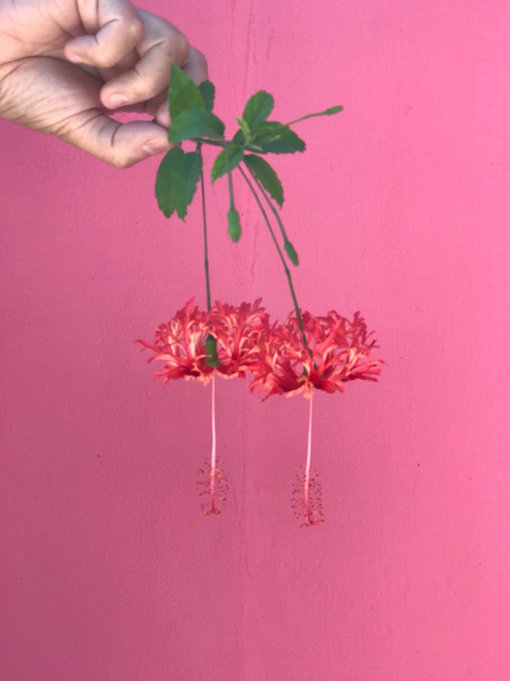 7776E9D3-47E4-4333-90D5-BE1540EF3133