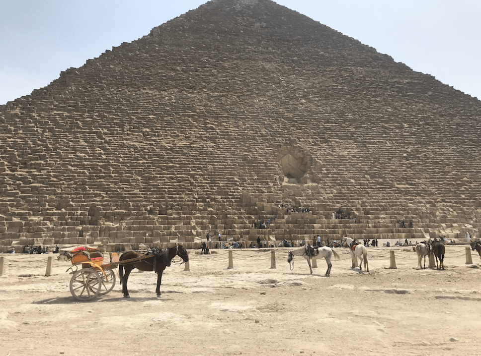 Screen Shot 2019-05-05 at 21.13.18