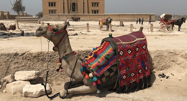 Screen Shot 2019-06-14 at 17.27.18