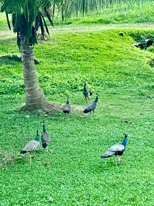 a50a38dc-e770-478e-9ca4-a6c08bb772eb